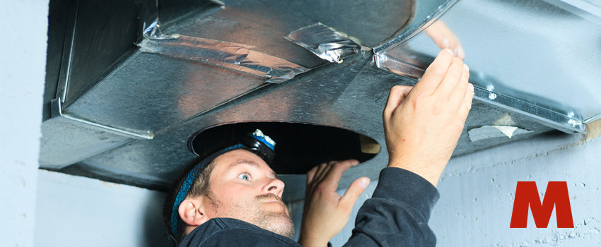 Man fixing HVAC system inspecting for pests