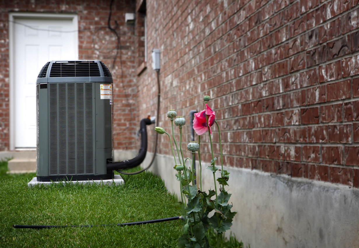 Backyard AC Unit and Flower